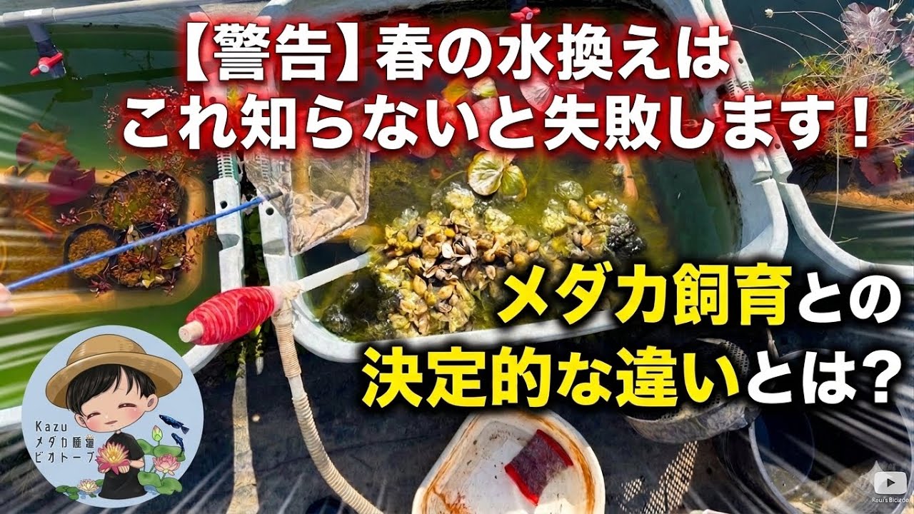 How to change the water in your biotope in spring! You'll fail if