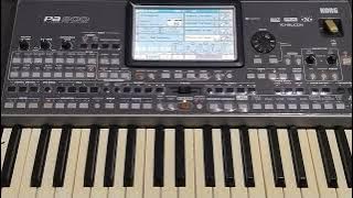 Srampat Tanpa Kendang Dan Vokal//Cover Panji_Pongdut