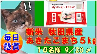 新米 秋田県産「あきたこまち」5kg 『毎日懸賞 2253』