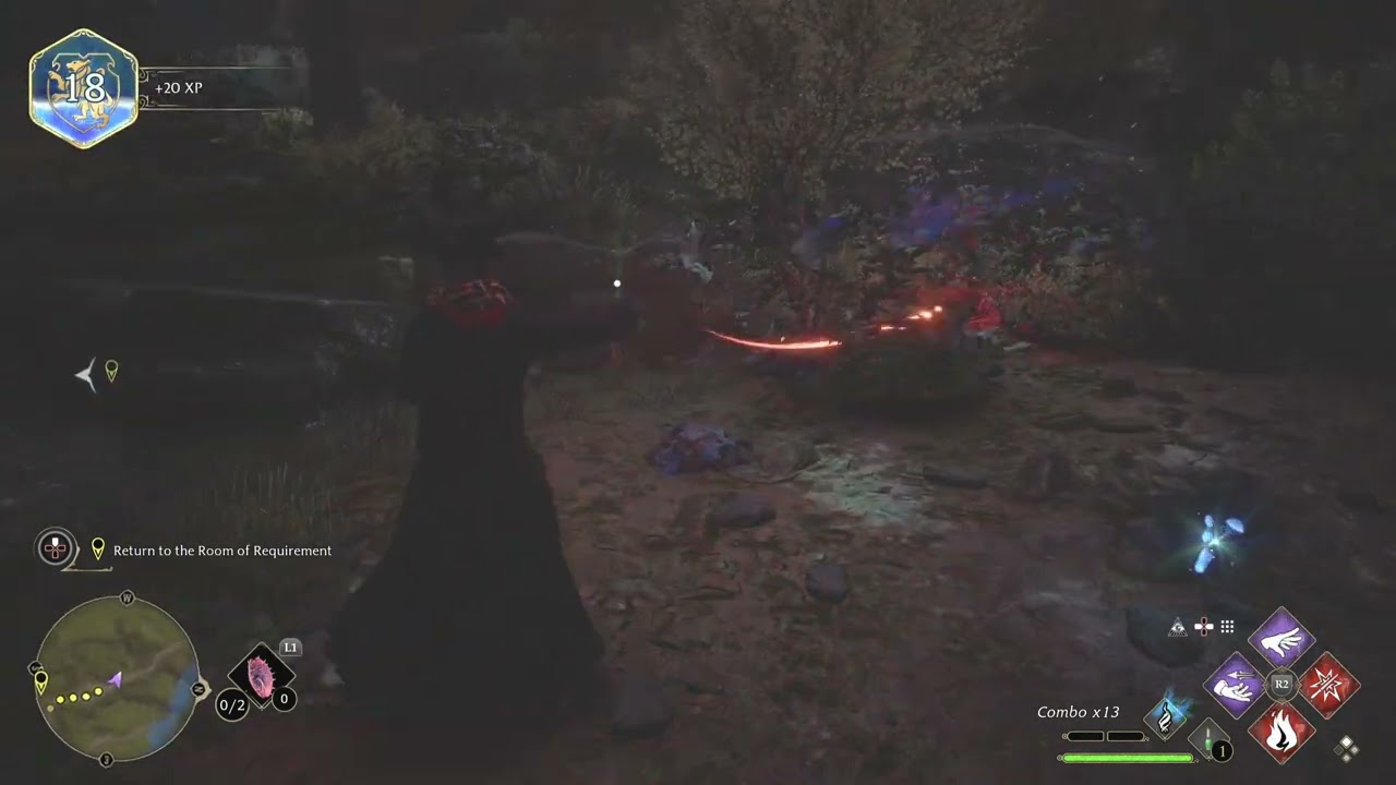 Midnight exploration