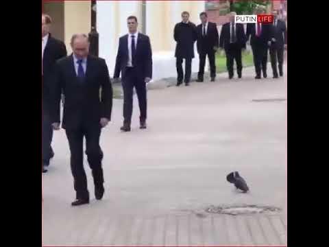 Отдал честь ))) - YouTube