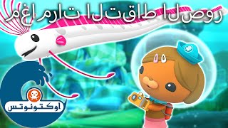 !أوكتونوتس | مغامرات التقاط الصور | رسوم متحركة للأطفا