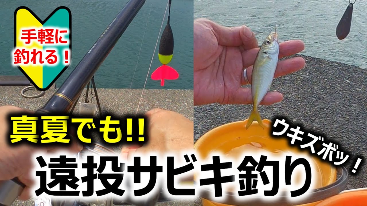 【ウキズボッ！】堤防遠投サビキ釣り