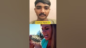 Easiest Way To Remove Cactus Spines🌵 #shorts #facts #viral #new #latest #trending