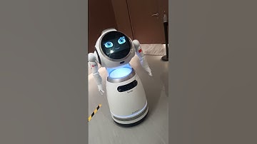 talking with robot #dubai #reels #shortvideo #robot
