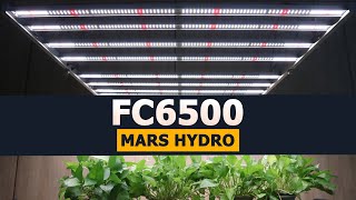 Mars Hydro FC6500 LED Grow Light Video Clip - Quick Demonstration of Light Capabilities