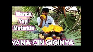 WANDA YAYI MAFARKIN YANA CIN GIGINYA
