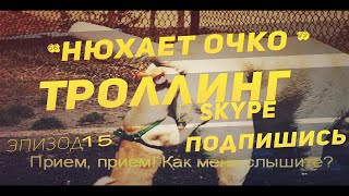 Парень нюхает очко собаки скинул Winlocker Парень нюхает очко собаки скинул Winlocker