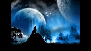 EKTOSIDE - Moon Night | Progressive Psytrance Mix | LIVESET 2k17