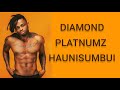 DIAMOND PLATNUMZ - HAUNISUMBUI (Lyrics Video)