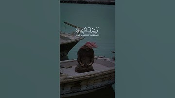 تلاوة خاشعة للشيخ محمد صديق المنشاوي رحمه الله