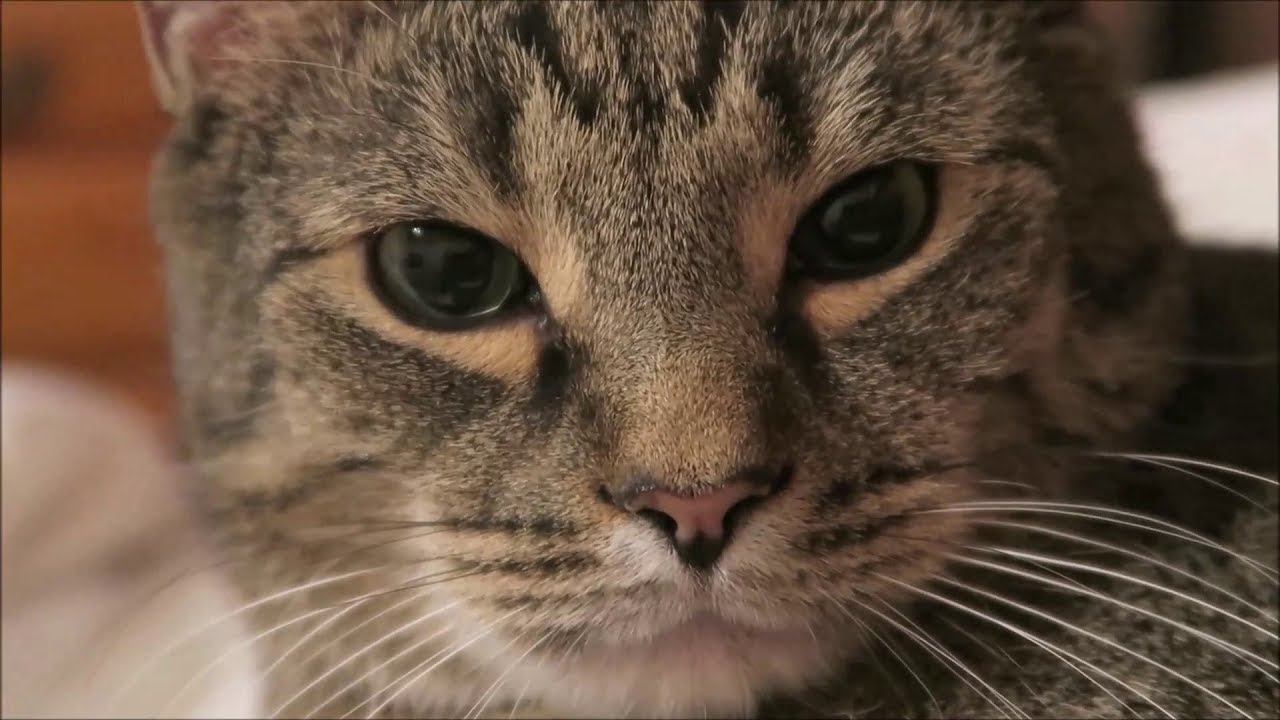 The Thing That Turned Me Off Vlog 11/23/18 – 11/29/18