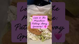 Love &amp; The Mundane, in Alabama! 🩷🤟🏾 #groceryhaul #alabama #food #love #blackloveisreal