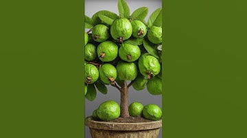 🌿Ready to grow your own guava tree at home? propagate guava tree using just cloth #gardening