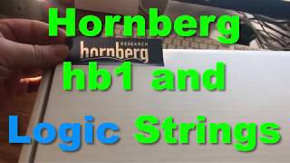 Hornberg hb1 Unboxing and Logic Strings | Logic Pro X screenshot 4