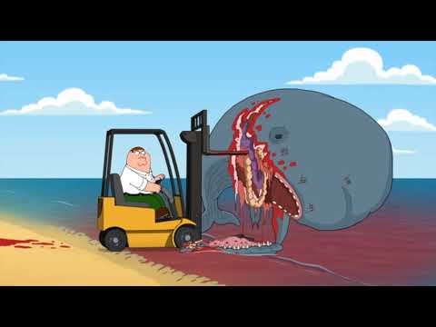 Wózek widłowy Family Guy PL