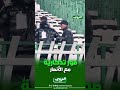 عزي و عبادة يلبون طلبات أنصار إتحاد العاصمة بأخذ صور تذكارية بعد نهاية المباراة امام أولمبيك آسفي