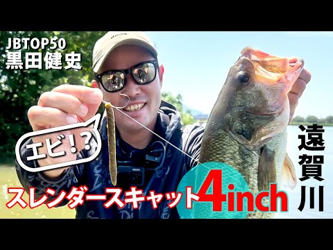 さかなです Slenderscat was a shrimp!? /Kenji Kuroda - YouTube