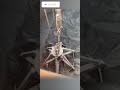 Close-up view of six-claw grab bucket operation during bulk carrier unloading #foryou #technolgy