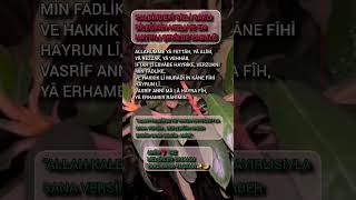 Kalbi̇ndeki̇ Gi̇zli̇ Sakli Di̇leği̇ni̇n Hizli Ve En Hayirli Şeki̇lde Kabulü