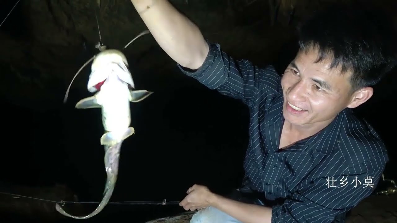 深山里找到一个山洞，60块一斤鲶鱼真多，钓到停不下来【壮乡小莫 】