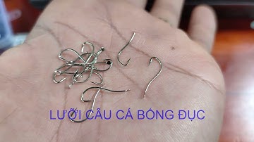 Lưỡi chuyên dùng câu cá bống đục