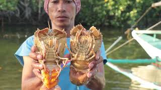 Big Aquaculture Doesn't Want You To Know This Secret! Big Aquaculture Doesn't Want You To Know This Secret!