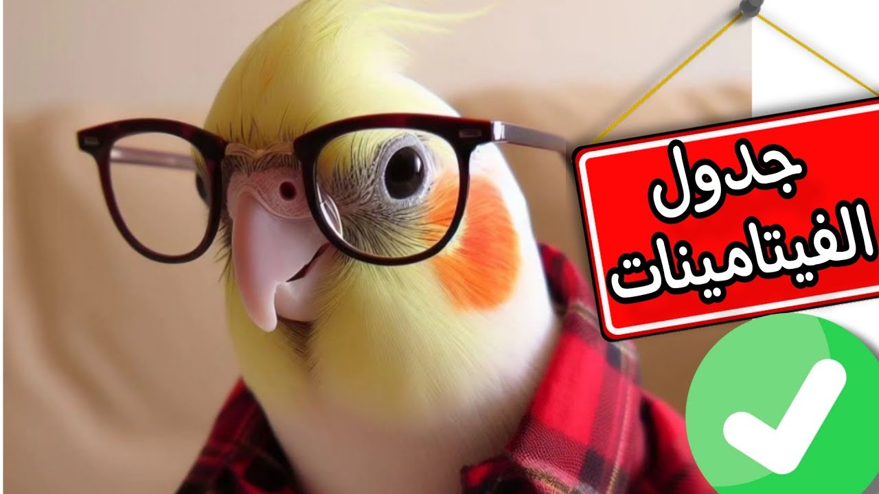 جدول فيتامينات الطيور بلجرعة والايام