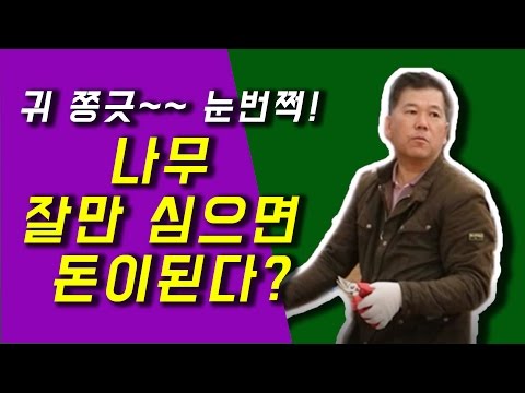 주부 자격증 추천