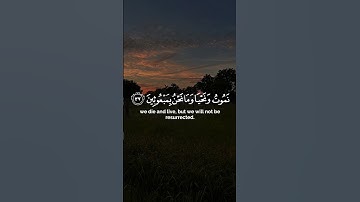 ما تيسر من سورة المؤمنون بصوت الشيخ ياسر الدوسري 🩷🩷| #اسلام #دينيه #قرآن #قران_كريم #ياسر_الدوسري 🤍🤍