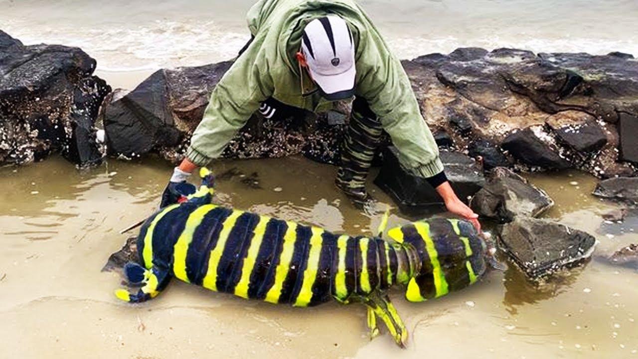 對手來陰的🔪終極『不講武德流』！兩千大魚滅族...雷神獸不能的金口可以!!!《爐石戰記:英雄戰場》Hearthstone Battlegrounds #1503