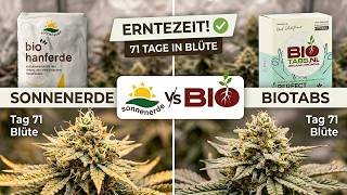 Wer hat den meisten Ertrag? Das werden wir bald wissen.