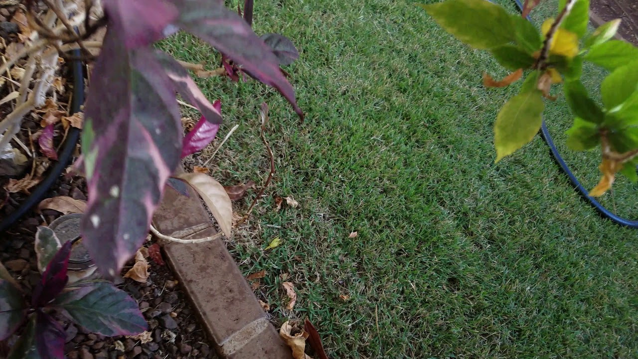 Costco selfwinding waterpowered hose Winder YouTube