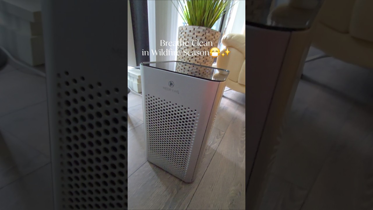 Wildfire Smoke in Vancouver? This Air Purifier Saved Us! 🌫️ 
