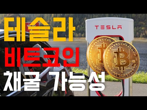 테슬라 비트코인 채굴 가능성 | 비트코인 ETF 승인 예상 분석.