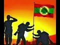 Walaloo Kaayyoo Ziyaad Oro Walaloo Kaayyoo Ziyaad Oro