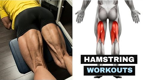 8 EASY HAMSTRING WORKOUT || [ HOME OR GYM ] ||  BEST 8 LEG EXERCISES || Mehul Raval Fitness