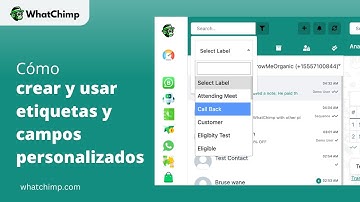 Entendiendo etiquetas y campos personalizados en WhatChimp | Conceptos básicos de WhatChimp