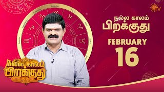 இன்றைய ராசி பலன் | நல்ல காலம் பிறக்குது | 16 February 2021 | Sun TV screenshot 4