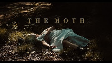deary - The Moth (Official Video)