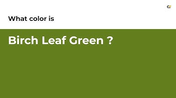 Birch Leaf Green color #637e1d hex color - Green color - Cool color 637e1d