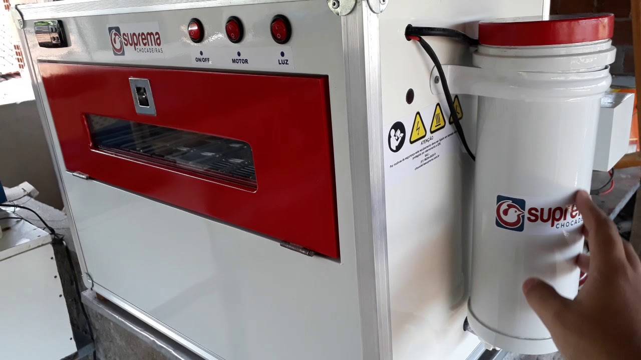 Chocadeira Automática Com Resistência Gasta Muita Energia Elétrica ? *criatorio moreira* galinhas verdes