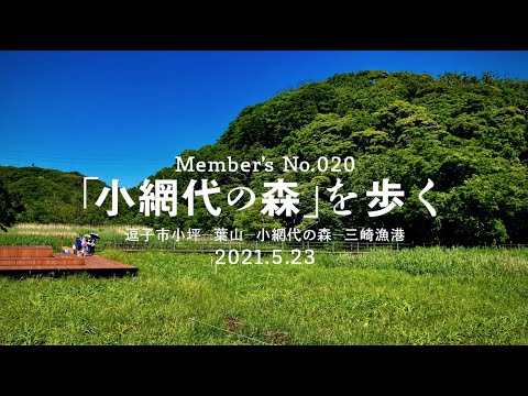 小網代の森 を歩く Youtube