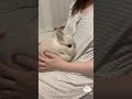 イタズラがバレて捕まるうさぎ #shorts