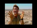 Snakes on the Base! | The Crocodile Hunter | Animal Planet