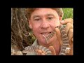 Snakes on the Base! | The Crocodile Hunter | Animal Planet