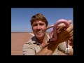 Snakes on the Base! | The Crocodile Hunter | Animal Planet