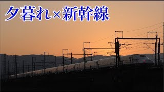 【N700】夕暮れ時を行く東海道新幹線