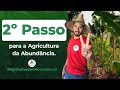 2º Passo para a Agricultura da Abundância - Estágios e Mecanismos da Floresta