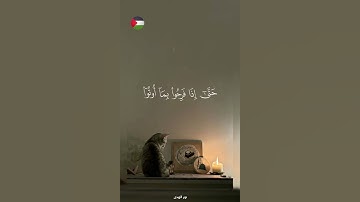 ✨️ اللهم دبر لي اموري ! 🇵🇸🍉#قرآن #اكسبلور #تلاوة_خاشعة #islamic #المصحف #فلسطين #غزة